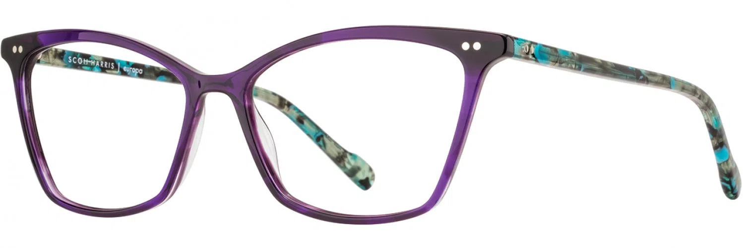 Scott Harris SH868 Eyeglasses - view 9